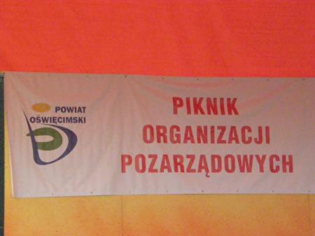 Piknik Organizacji Pozarządowych 2012